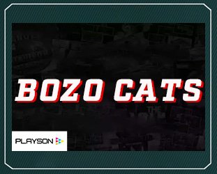 bozo-cats-playson
